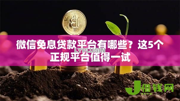 微信免息贷款平台有哪些？这5个正规平台值得一试