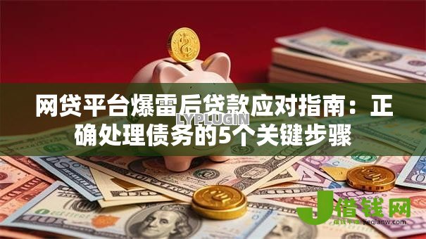 网贷平台爆雷后贷款应对指南:正确处理债务的5个关键步骤 网贷平台爆雷后贷款应对指南:正确处理债务的5个关键步骤