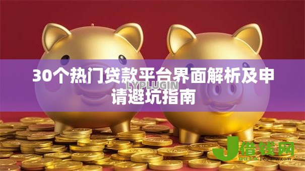 30个热门贷款平台界面解析及申请避坑指南 30个热门贷款平台界面解析及申请避坑指南