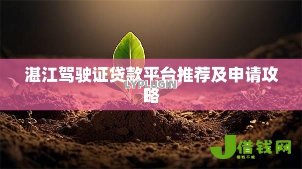 湛江驾驶证贷款平台推荐及申请攻略