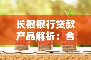 长银银行贷款产品解析：合作平台、申请条件及优势一览
