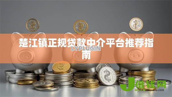 楚江镇正规贷款中介平台推荐指南