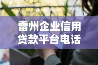 雷州企业信用贷款平台电话及申请指南 雷州企业信用贷款平台电话及申请指南