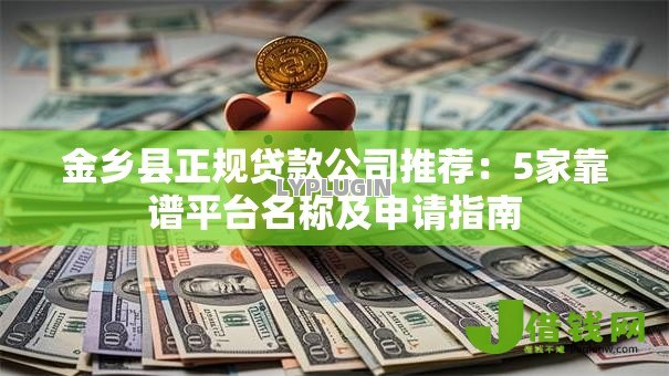 金乡县正规贷款公司推荐：5家靠谱平台名称及申请指南