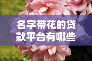 名字带花的贷款平台有哪些?这些平台靠谱吗?详细对比分析 名字带花的贷款平台有哪些?这些平台靠谱吗?详细对比分析
