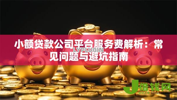 小额贷款公司平台服务费解析：常见问题与避坑指南