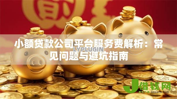 小额贷款公司平台服务费解析：常见问题与避坑指南