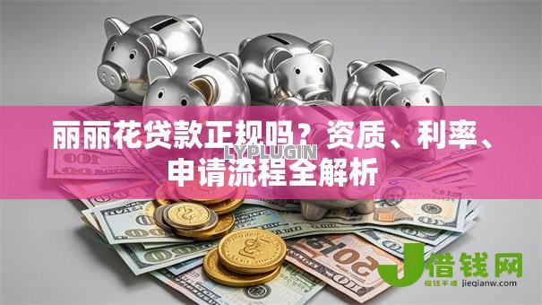 丽丽花贷款正规吗？资质、利率、申请流程全解析