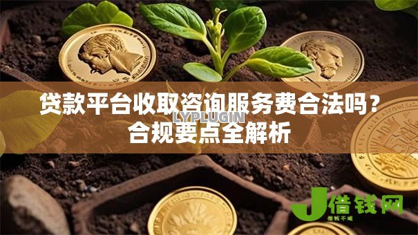 贷款平台收取咨询服务费合法吗?合规要点全解析 贷款平台收取咨询服务费合法吗?合规要点全解析