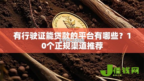 有行驶证能贷款的平台有哪些？10个正规渠道推荐