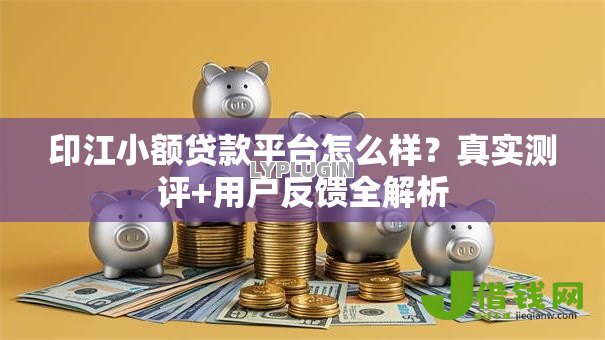 印江小额贷款平台怎么样?真实测评+用户反馈全解析 印江小额贷款平台怎么样?真实测评+用户反馈全解析