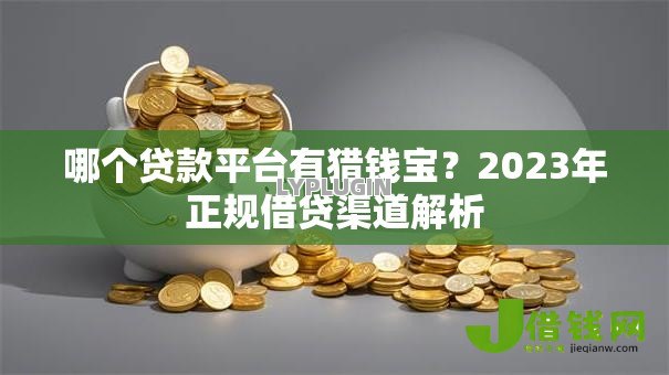 哪个贷款平台有猎钱宝?2023年正规借贷渠道解析 哪个贷款平台有猎钱宝?2023年正规借贷渠道解析