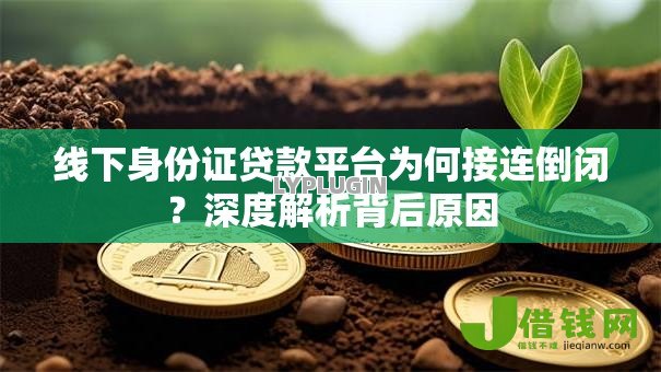 线下身份证贷款平台为何接连倒闭？深度解析背后原因