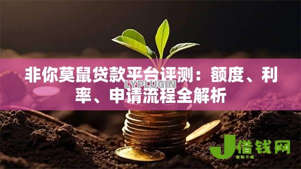 非你莫鼠贷款平台评测:额度、利率、申请流程全解析 非你莫鼠贷款平台评测:额度、利率、申请流程全解析