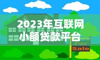 2023年互联网小额贷款平台现状及用户风险指南 2023年互联网小额贷款平台现状及用户风险指南