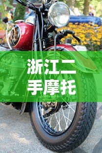 浙江二手摩托车贷款平台选择攻略及申请流程详解 浙江二手摩托车贷款平台选择攻略及申请流程详解