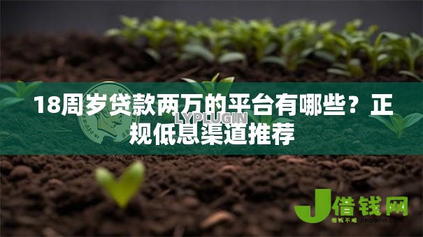 18周岁贷款两万的平台有哪些?正规低息渠道推荐 18周岁贷款两万的平台有哪些?正规低息渠道推荐