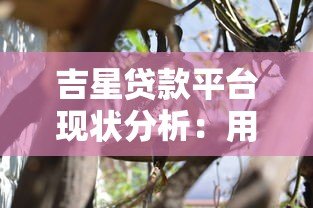 吉星贷款平台现状分析:用户反馈与市场动态解读 吉星贷款平台现状分析:用户反馈与市场动态解读