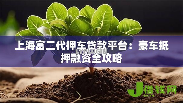 上海富二代押车贷款平台:豪车抵押融资全攻略 上海富二代押车贷款平台:豪车抵押融资全攻略