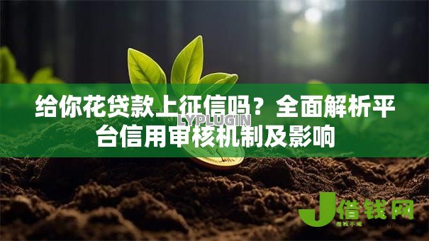 给你花贷款上征信吗?全面解析平台信用审核机制及影响 给你花贷款上征信吗?全面解析平台信用审核机制及影响