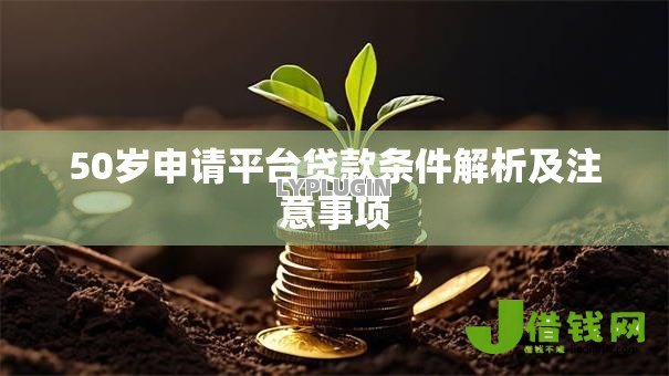 50岁申请平台贷款条件解析及注意事项