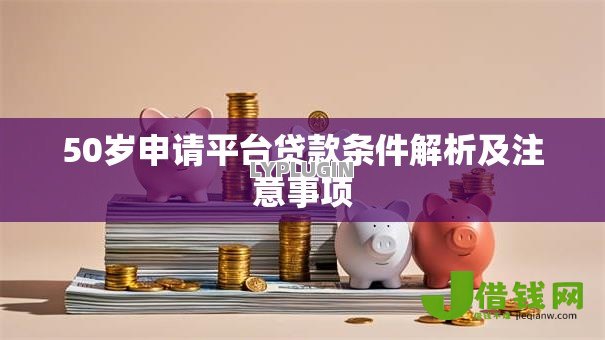 50岁申请平台贷款条件解析及注意事项