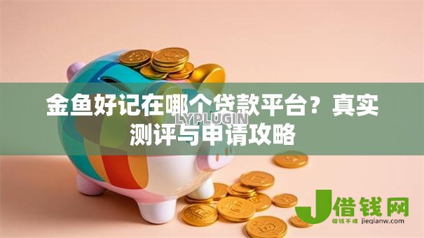 金鱼好记在哪个贷款平台？真实测评与申请攻略