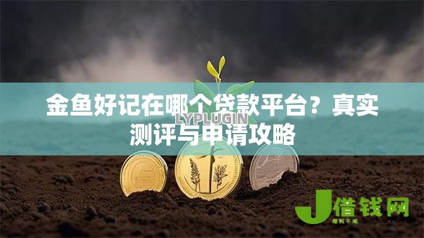 金鱼好记在哪个贷款平台？真实测评与申请攻略