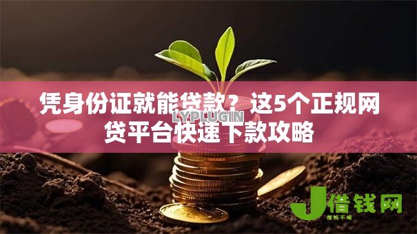 凭身份证就能贷款?这5个正规网贷平台快速下款攻略 凭身份证就能贷款?这5个正规网贷平台快速下款攻略