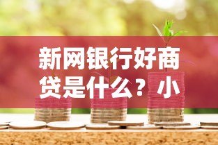 新网银行好商贷是什么?小微企业主必看的信用贷款解析 新网银行好商贷是什么?小微企业主必看的信用贷款解析