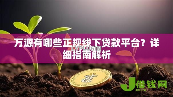 万源有哪些正规线下贷款平台？详细指南解析