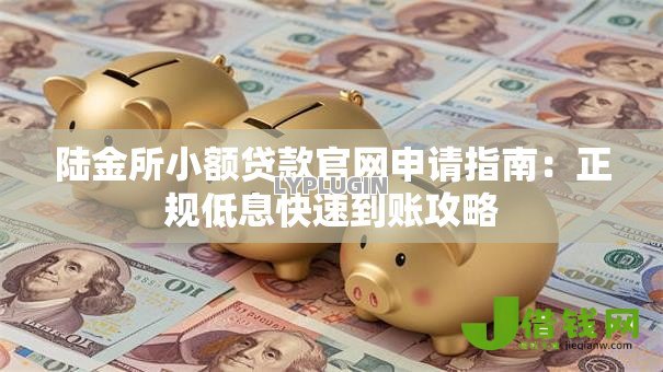 陆金所小额贷款官网申请指南：正规低息快速到账攻略