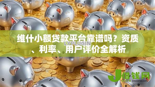 维什小额贷款平台靠谱吗？资质、利率、用户评价全解析