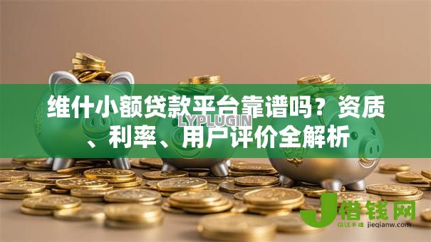 维什小额贷款平台靠谱吗？资质、利率、用户评价全解析