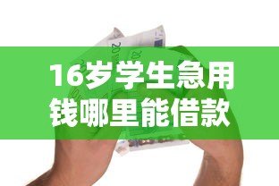 16岁学生急用钱哪里能借款?正规合法借贷渠道解析 16岁学生急用钱哪里能借款?正规合法借贷渠道解析