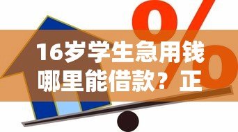 16岁学生急用钱哪里能借款?正规合法借贷渠道解析 16岁学生急用钱哪里能借款?正规合法借贷渠道解析