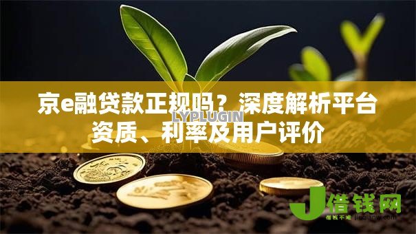 京e融贷款正规吗?深度解析平台资质、利率及用户评价 京e融贷款正规吗?深度解析平台资质、利率及用户评价