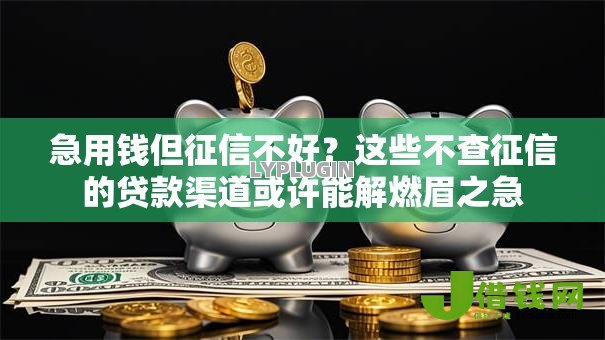 急用钱但征信不好?这些不查征信的贷款渠道或许能解燃眉之急 急用钱但征信不好?这些不查征信的贷款渠道或许能解燃眉之急