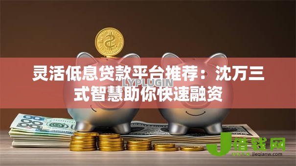 灵活低息贷款平台推荐：沈万三式智慧助你快速融资