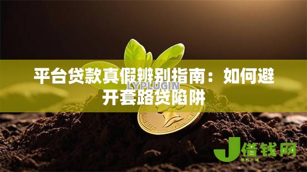 平台贷款真假辨别指南:如何避开套路贷陷阱 平台贷款真假辨别指南:如何避开套路贷陷阱