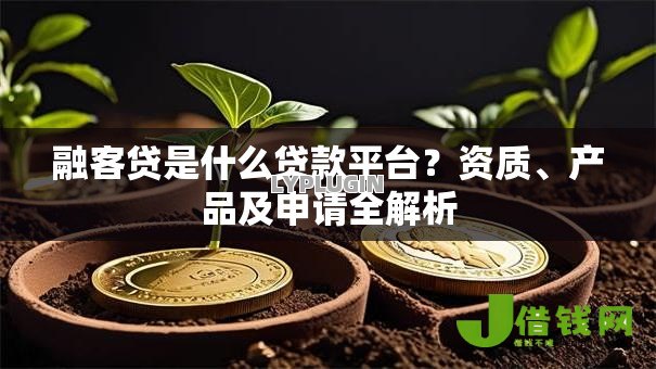 融客贷是什么贷款平台？资质、产品及申请全解析