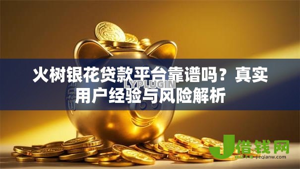 火树银花贷款平台靠谱吗？真实用户经验与风险解析