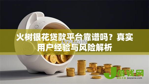 火树银花贷款平台靠谱吗？真实用户经验与风险解析