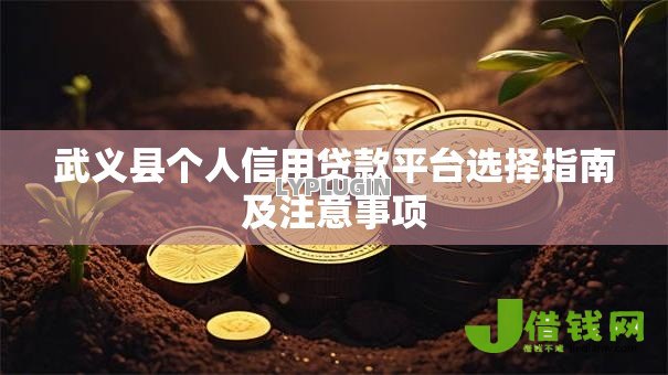 武义县个人信用贷款平台选择指南及注意事项 武义县个人信用贷款平台选择指南及注意事项