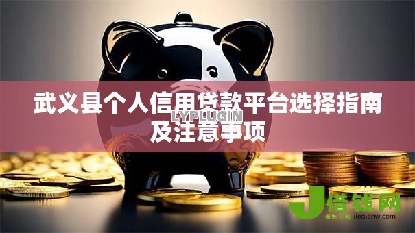 武义县个人信用贷款平台选择指南及注意事项 武义县个人信用贷款平台选择指南及注意事项