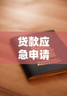 贷款应急申请平台官网填写指南:快速申请与安全操作解析 贷款应急申请平台官网填写指南:快速申请与安全操作解析