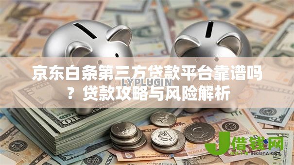 京东白条第三方贷款平台靠谱吗？贷款攻略与风险解析