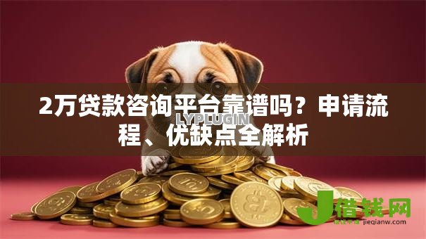 2万贷款咨询平台靠谱吗？申请流程、优缺点全解析