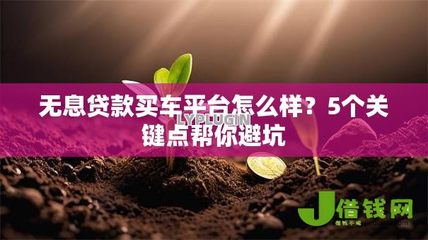 无息贷款买车平台怎么样？5个关键点帮你避坑