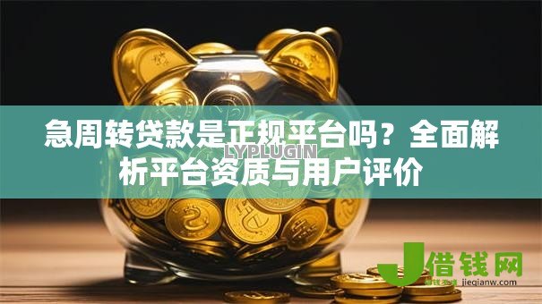 急周转贷款是正规平台吗?全面解析平台资质与用户评价 急周转贷款是正规平台吗?全面解析平台资质与用户评价